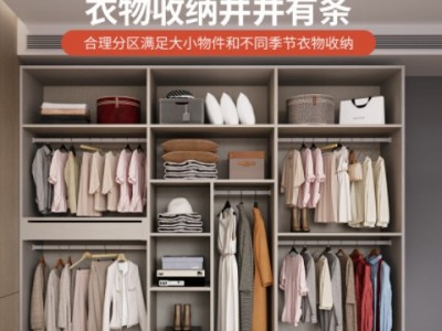 衣柜一门到顶轻奢实木颗粒板家用卧室组装柜子现代简约欧松板衣橱图3