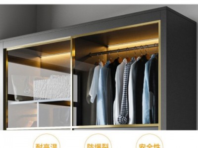 推拉门衣柜现代简约储物柜组合经济小户型移滑门大衣橱玻璃门图1