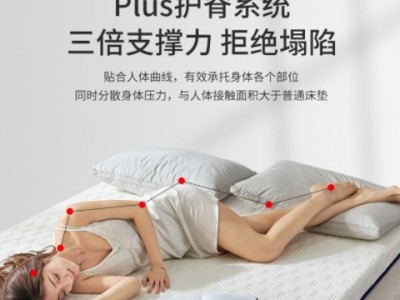 乳胶床垫学生宿舍单人专用90x190cm加厚软垫家用1米2硬床垫子儿童图2
