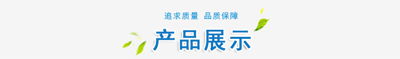 厂家直销泡沫滤珠 泡沫颗粒滤珠 轻质泡沫滤珠 重质泡沫滤珠示例图3