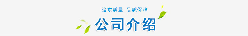 厂家直销泡沫滤珠 泡沫颗粒滤珠 轻质泡沫滤珠 重质泡沫滤珠示例图14