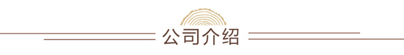 加工定制北欧布艺沙发组合 客厅小户型沙发简约公寓房沙发套装示例图11