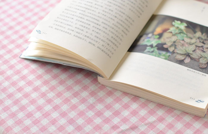 厂家供应韩式清新粉色格子小清新餐桌布 书桌盖布 布艺批发多尺寸示例图7