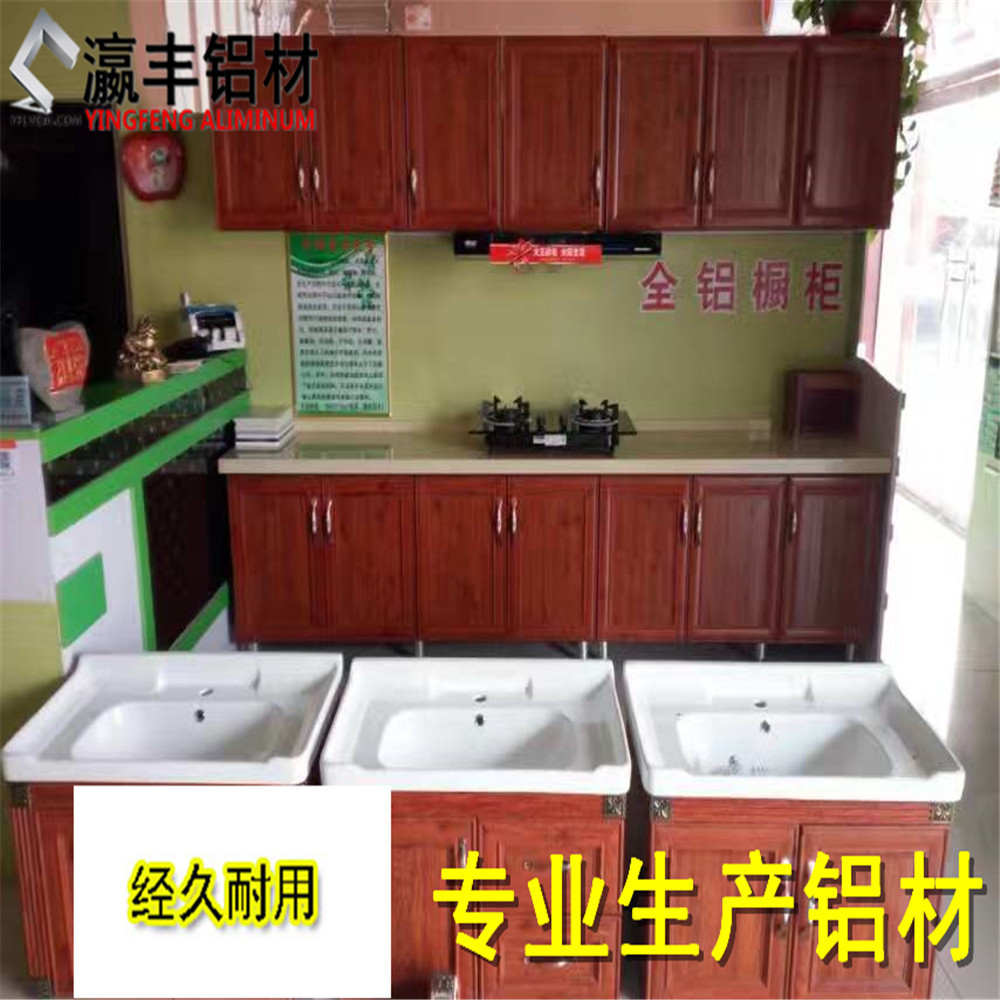 佛山全铝橱柜全铝衣柜全铝书柜全铝鞋柜铝材批发 全铝合金洗衣柜示例图2