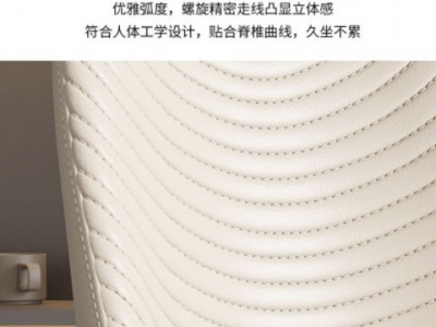 意式餐椅北欧轻奢餐厅小户型家用皮艺毛毛虫网红客厅靠背吃饭椅子图2