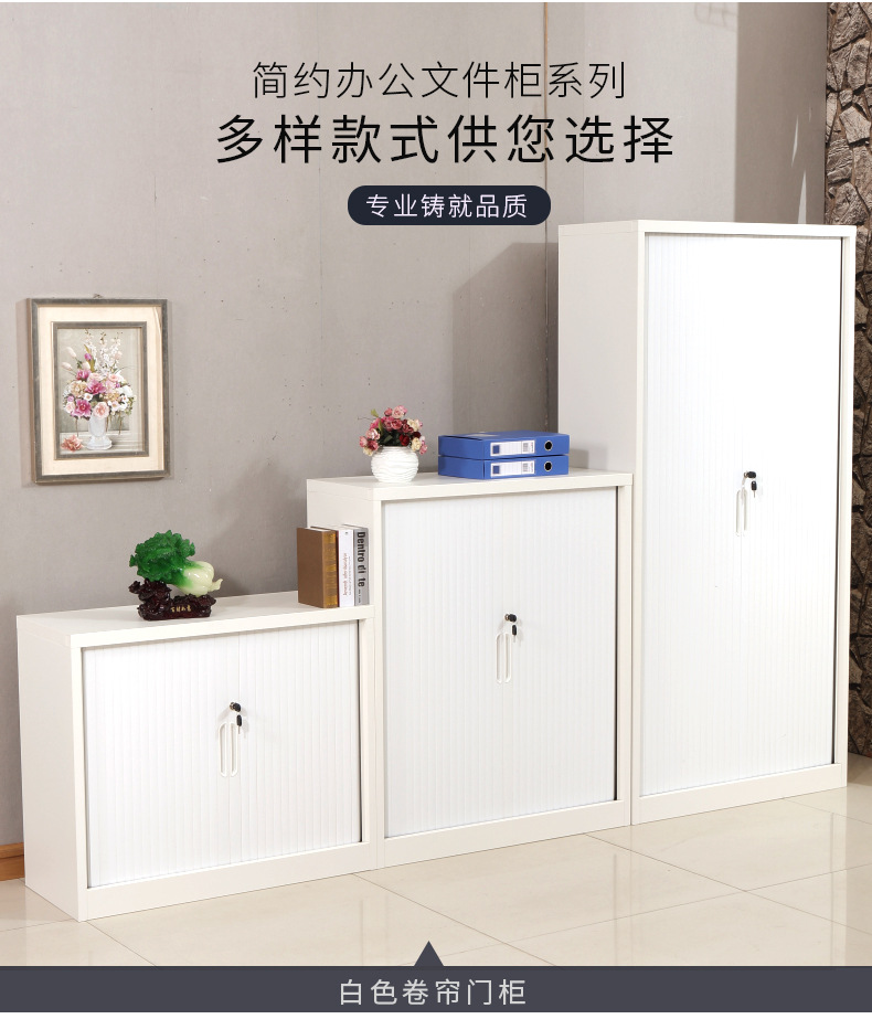 钢制卷帘门档案柜文件柜 办公室资料档案存放柜凭证储物柜定做示例图10