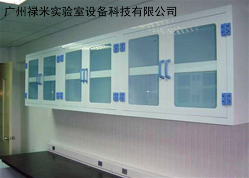 PP吊柜生产厂家，优质吊柜，试剂架，可定制示例图2