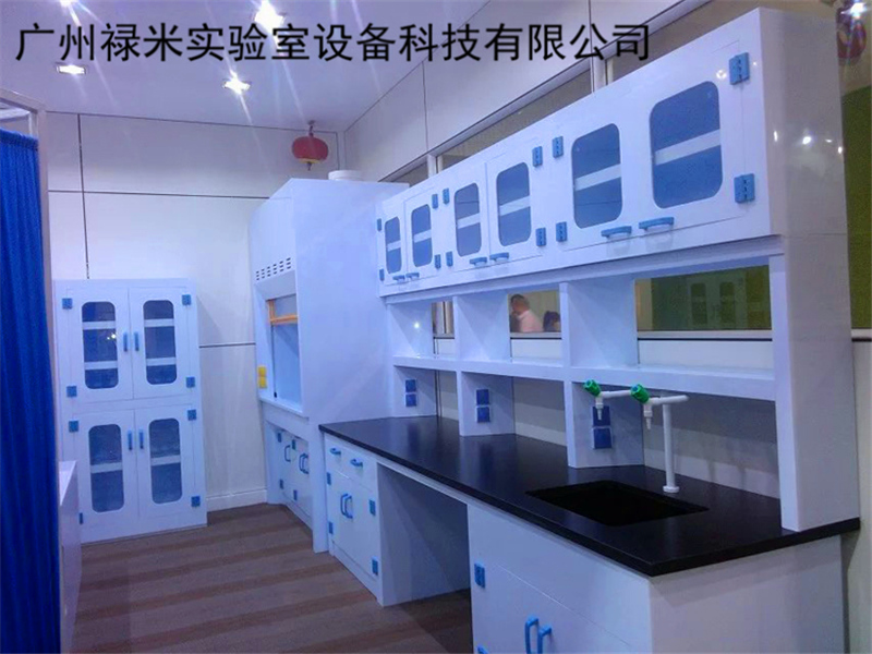PP吊柜生产厂家，优质吊柜，试剂架，可定制示例图3