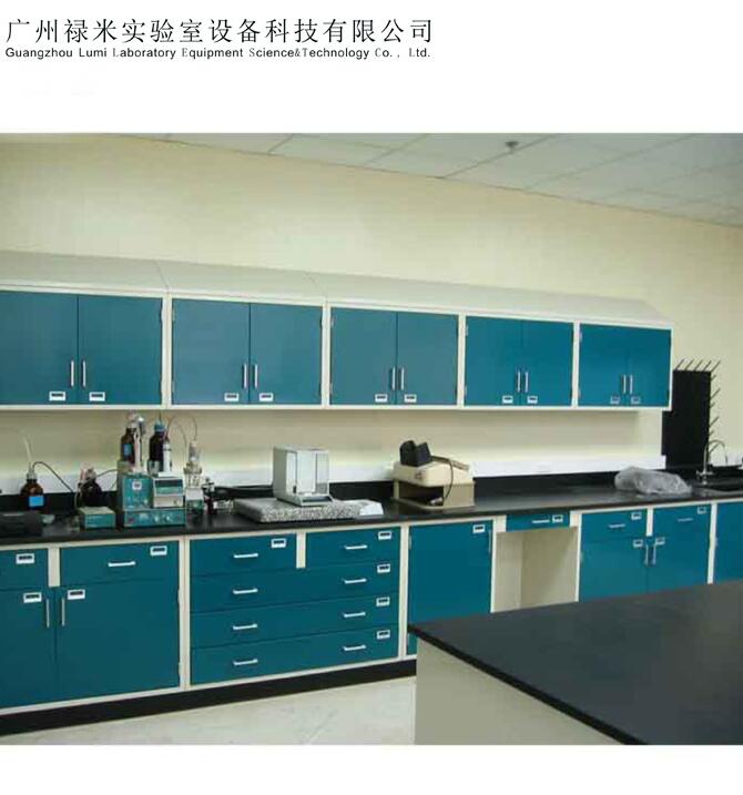 广州全钢吊柜实验台，试剂架，原子吸收罩，厂家直销示例图3