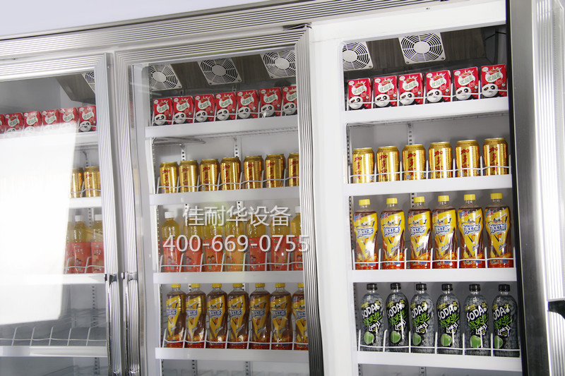 玻璃门啤酒饮料冰箱 小型 冷藏柜 商用立式冰柜水果蔬菜保鲜柜示例图9