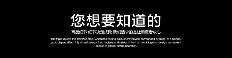 冰淇淋冰激凌冷冻展示柜商用哈根达斯硬质雪糕冷藏柜卧室鑫瑞雪示例图23