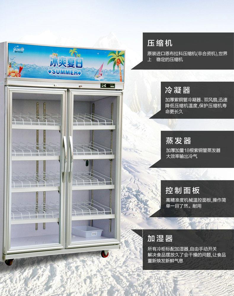 立式冰柜饮料保鲜冷藏柜 超市便利店餐厅展示柜双开门冰箱示例图6