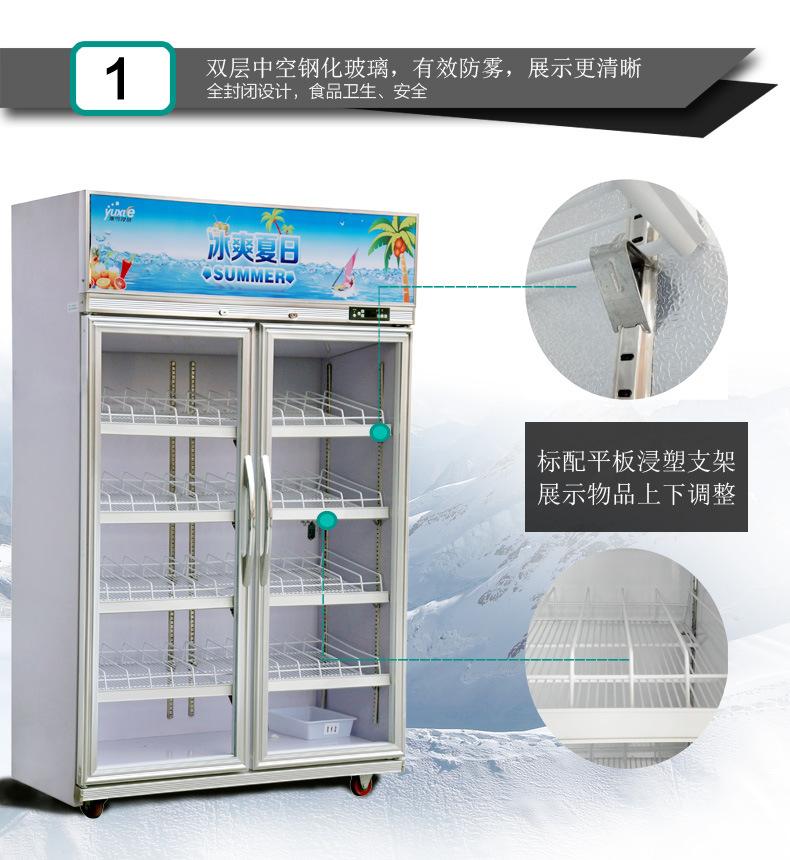 立式冰柜饮料保鲜冷藏柜 超市便利店餐厅展示柜双开门冰箱示例图8