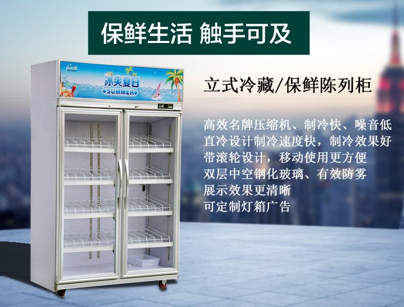 立式冰柜饮料保鲜冷藏柜 超市便利店餐厅展示柜双开门冰箱示例图2