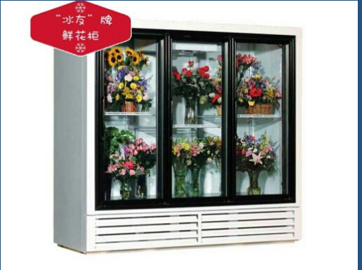 冰友牌鲜花柜 三面玻璃全自动加湿鲜花冷藏柜示例图4