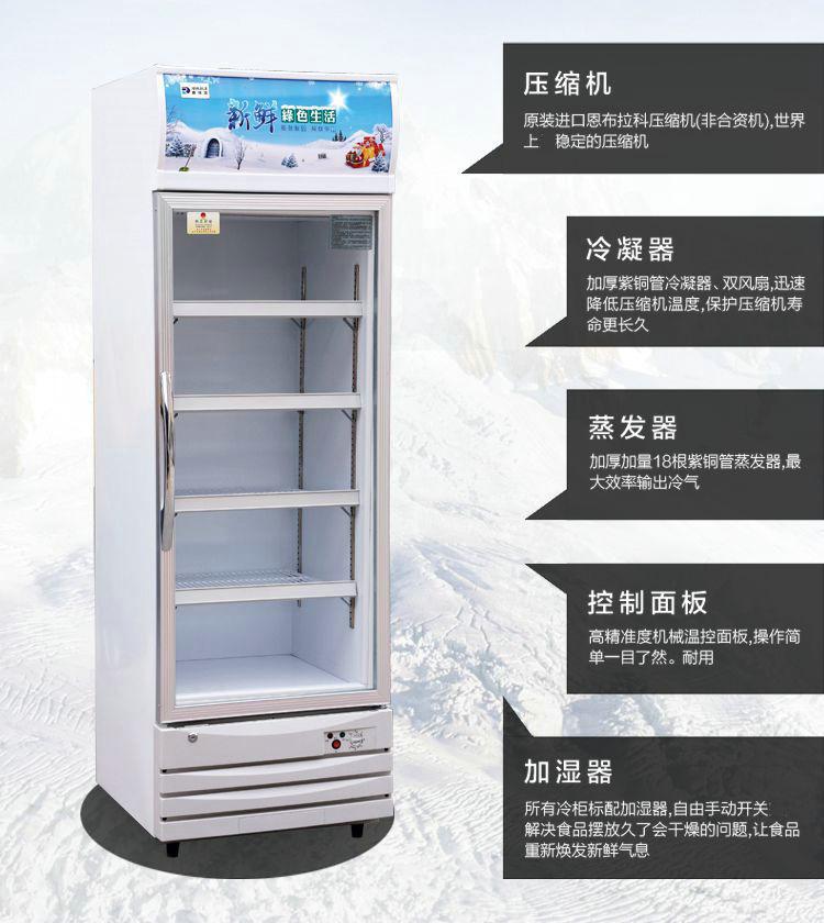 超市立式冰柜饮料保鲜冷藏柜 便利店冰柜餐厅展示柜双开门冰箱示例图3