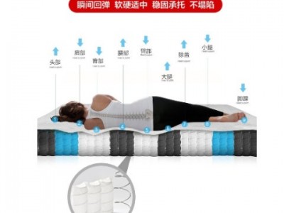七星级天然乳胶椰棕席梦思一软一硬静音床垫恒温鹅绒面料独立弹簧图3