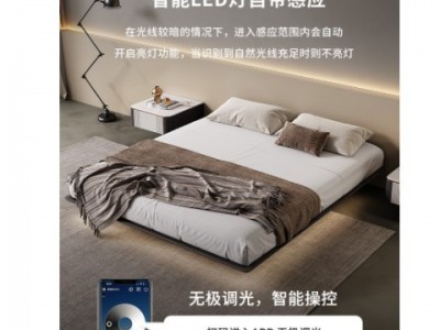 无床头悬浮床实木现代简约主卧排骨架意式极简创意无靠背床双人床图2