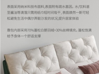 美式轻奢科技布大床主卧室实木储物榻榻米床极简羽绒靠包科技布床图3