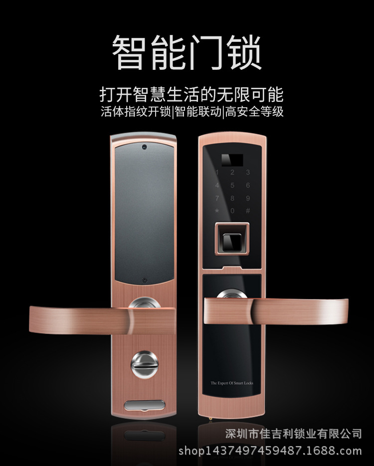 厂家直销 指纹锁 家用智能指纹锁 量大可面谈示例图1