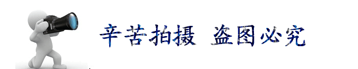 涂胶机瓦楞纸板生产线专用设备厂家专业供应不同型号涂胶机示例图3