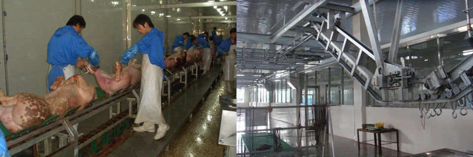 猪宰杀脱毛机 刨毛机 全自动猪刨毛机价格 不锈钢材质 刨毛干净示例图14