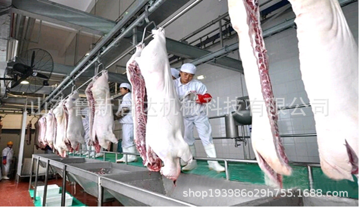 猪宰杀脱毛机 刨毛机 全自动猪刨毛机价格 不锈钢材质 刨毛干净示例图3