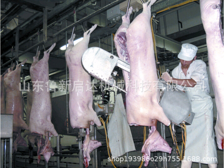 猪宰杀脱毛机 刨毛机 全自动猪刨毛机价格 不锈钢材质 刨毛干净示例图4