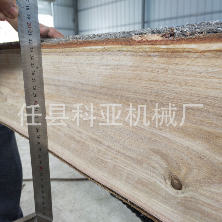 全自动木工圆木推台锯 推台锯四轴圆木推台锯 多功能开板开料锯示例图9