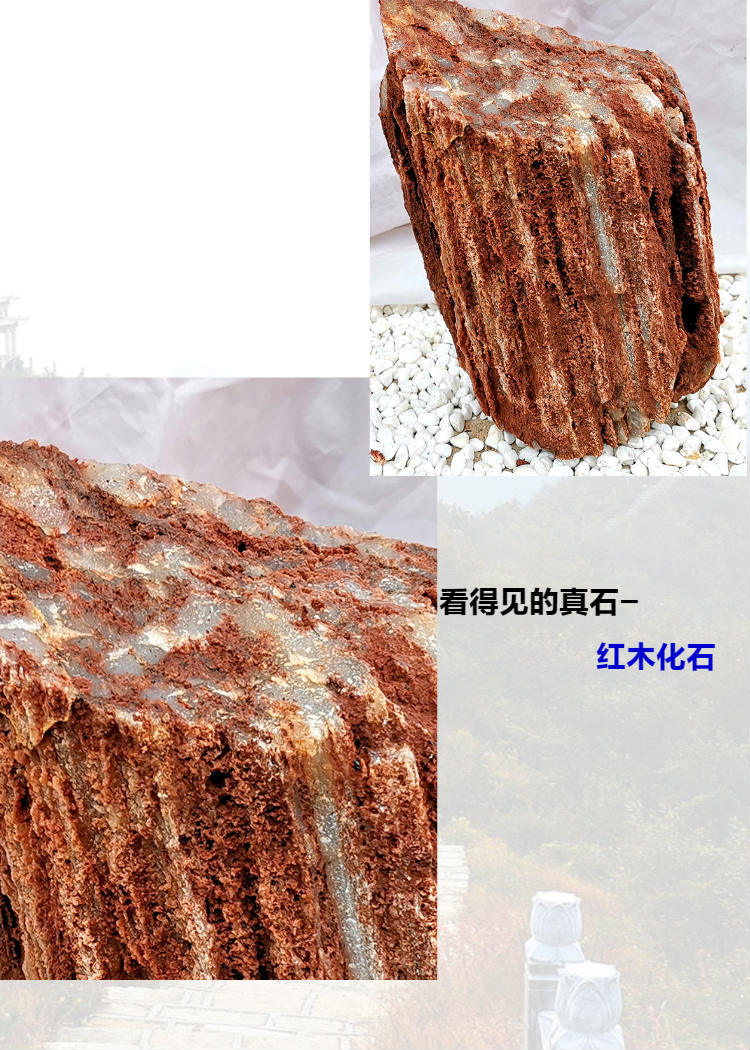 05右左-1.jpg