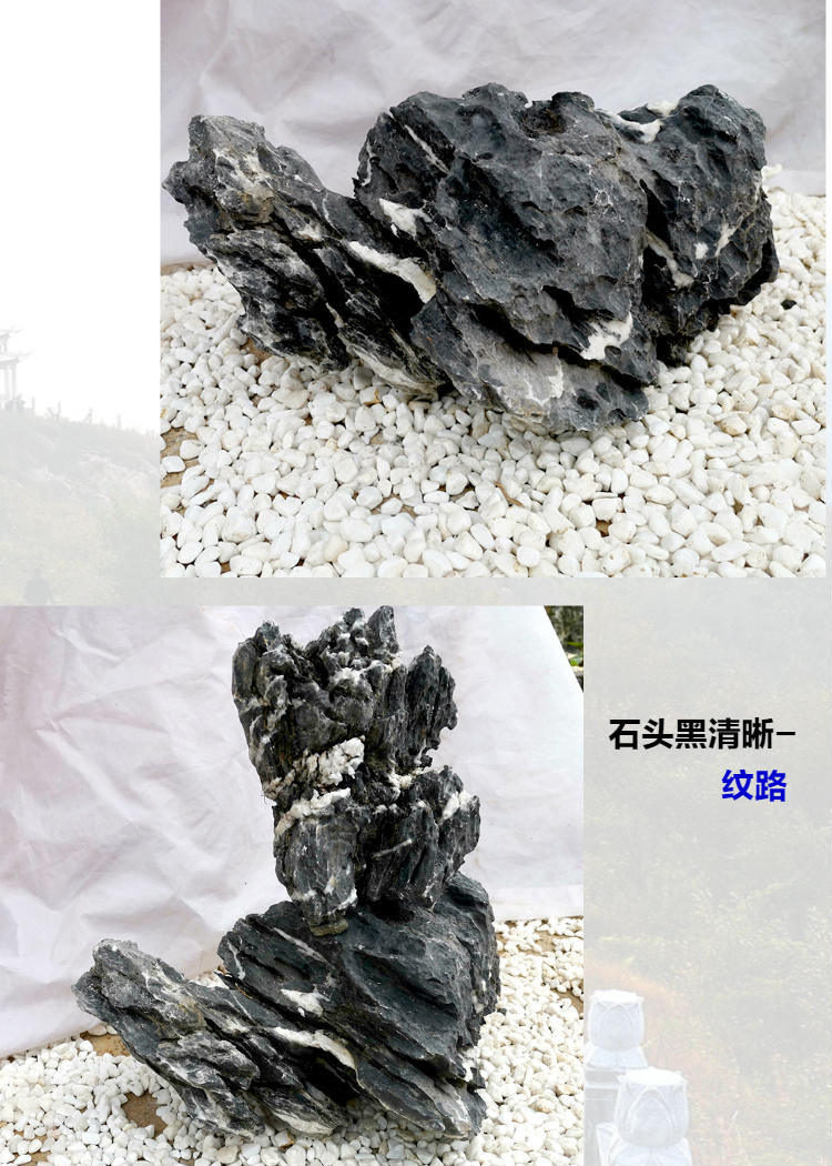 05右左.jpg
