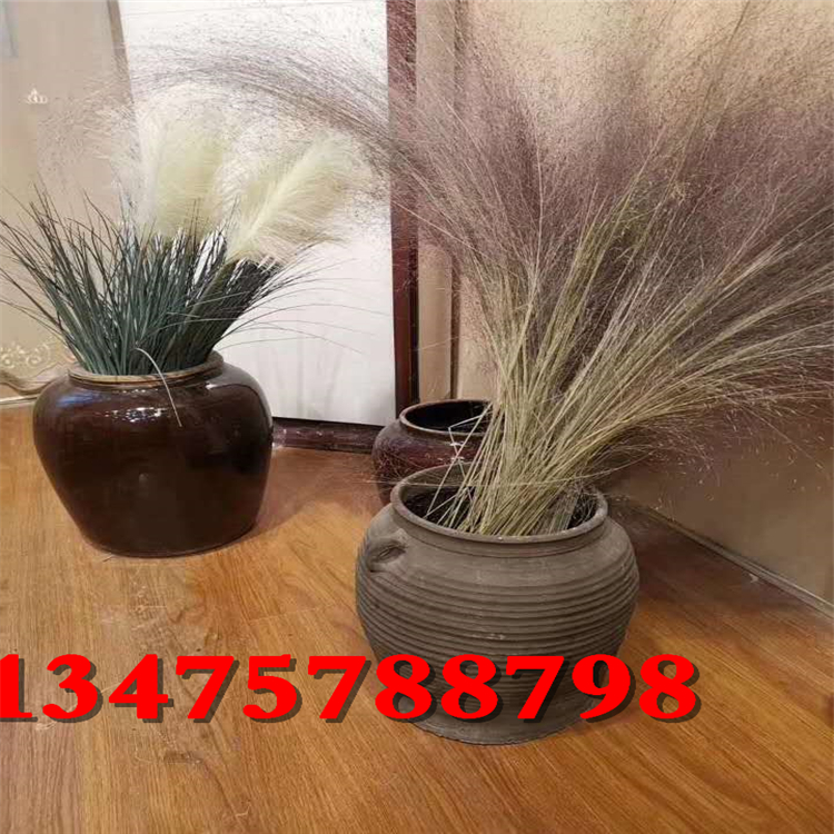 微信图片_24.jpg