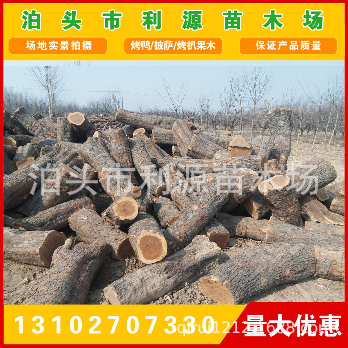 常年大量供应优质枣木原木 全国发货 货源充足 保质保量 厂家直销示例图9