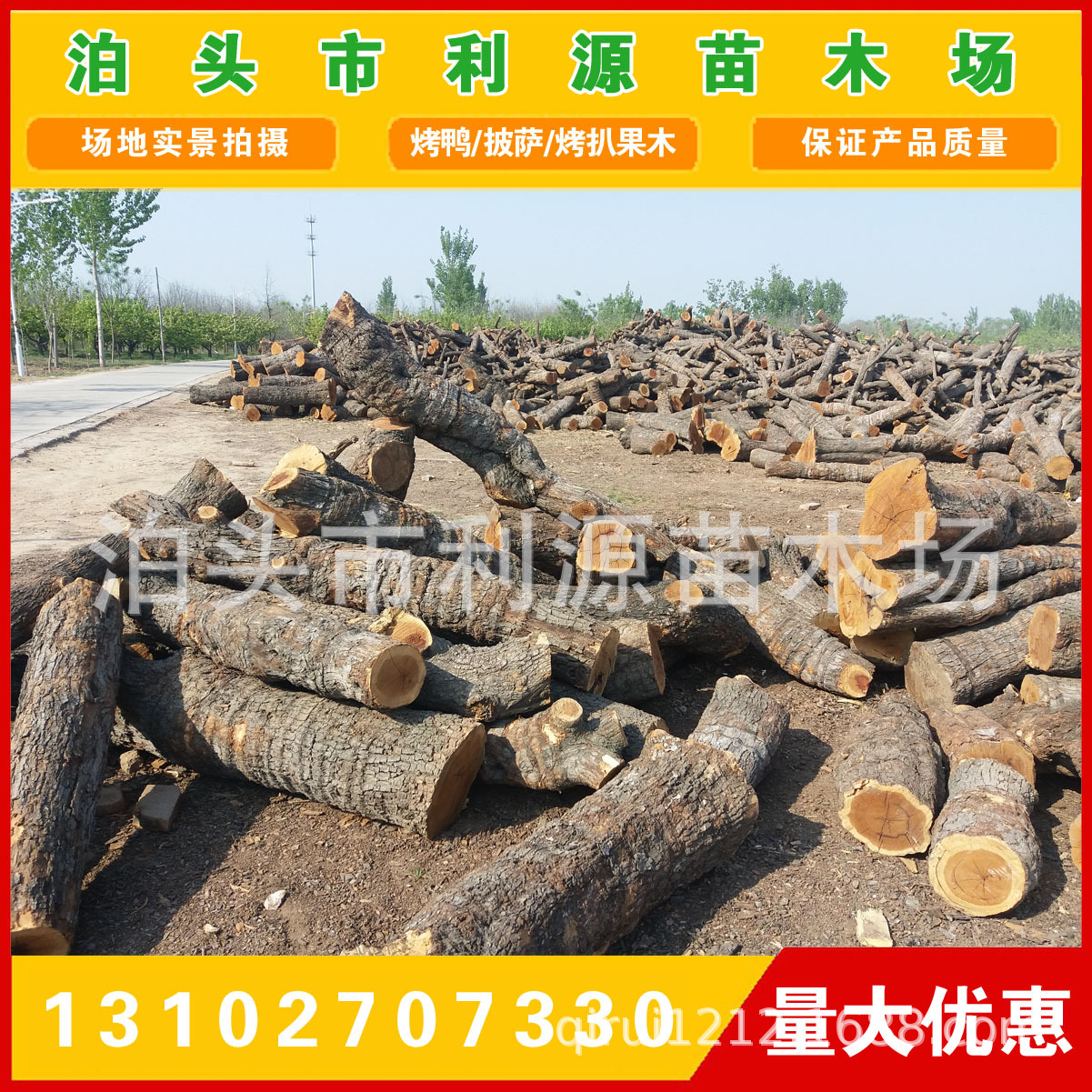 常年大量供应优质枣木原木 全国发货 货源充足 保质保量 厂家直销示例图12