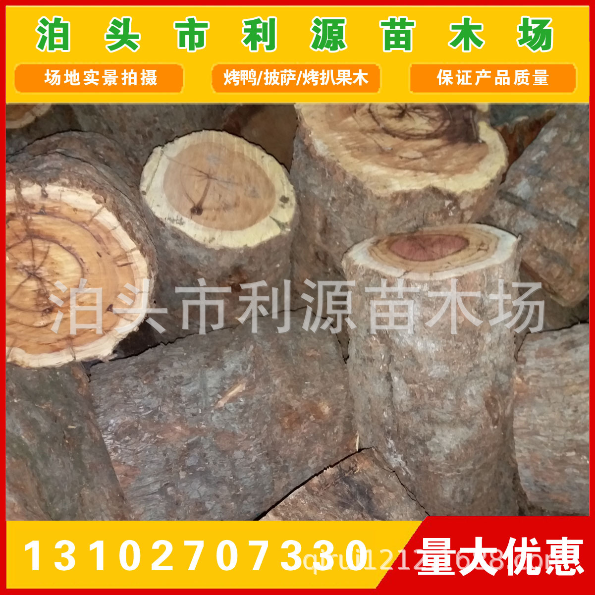 常年大量供应优质枣木原木 全国发货 货源充足 保质保量 厂家直销示例图16