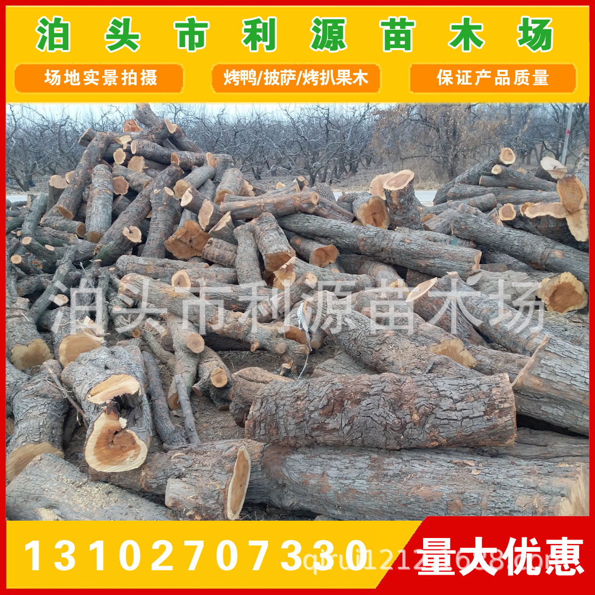 常年大量供应优质枣木原木 枣木 货源稳定  枣木墩用料 雕刻枣木示例图3