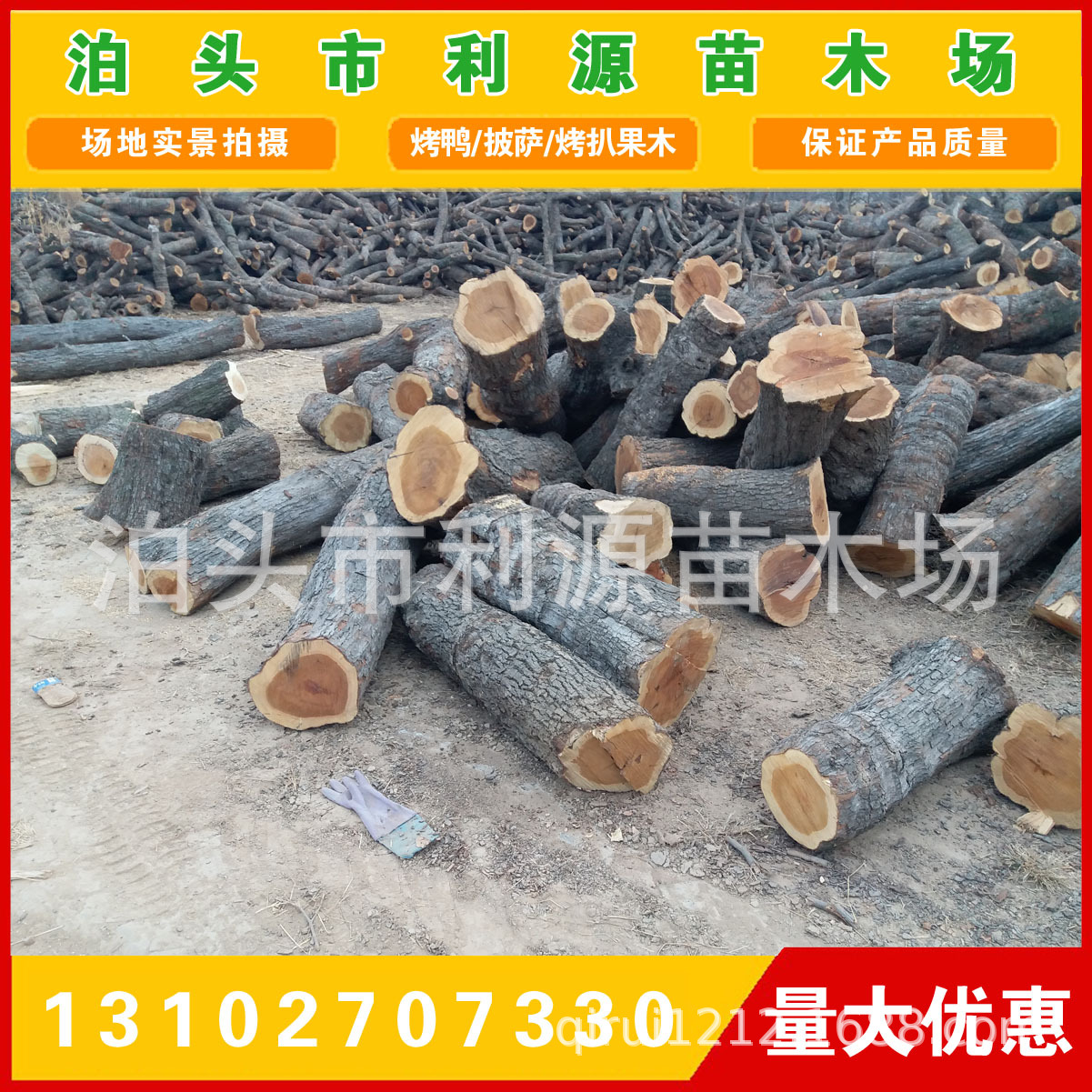 常年大量供应优质枣木原木 枣木 货源稳定  枣木墩用料 雕刻枣木示例图1