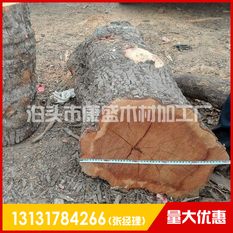 专业厂家供应枣木原木 康盛木材厂雕刻枣木品质保证及时发货示例图2