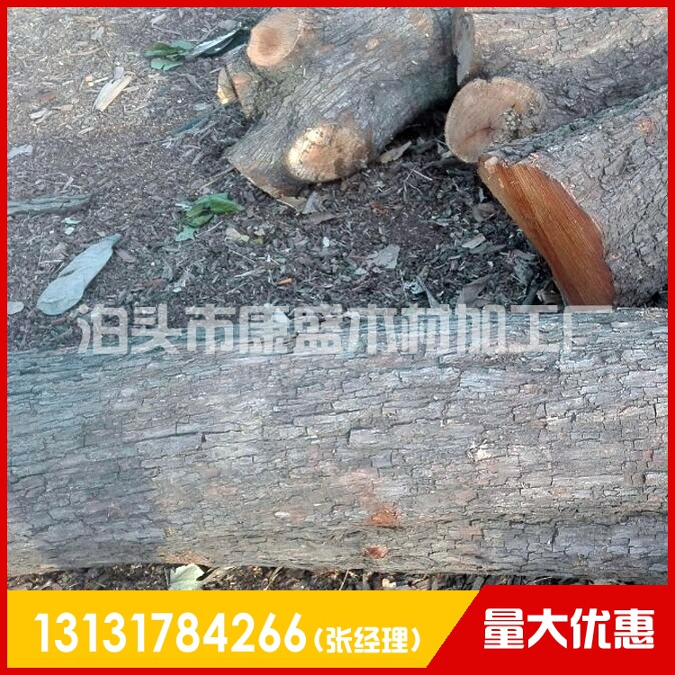 康盛木材厂出售枣木原木 优质30-50公分工艺枣木  雕刻枣木示例图6