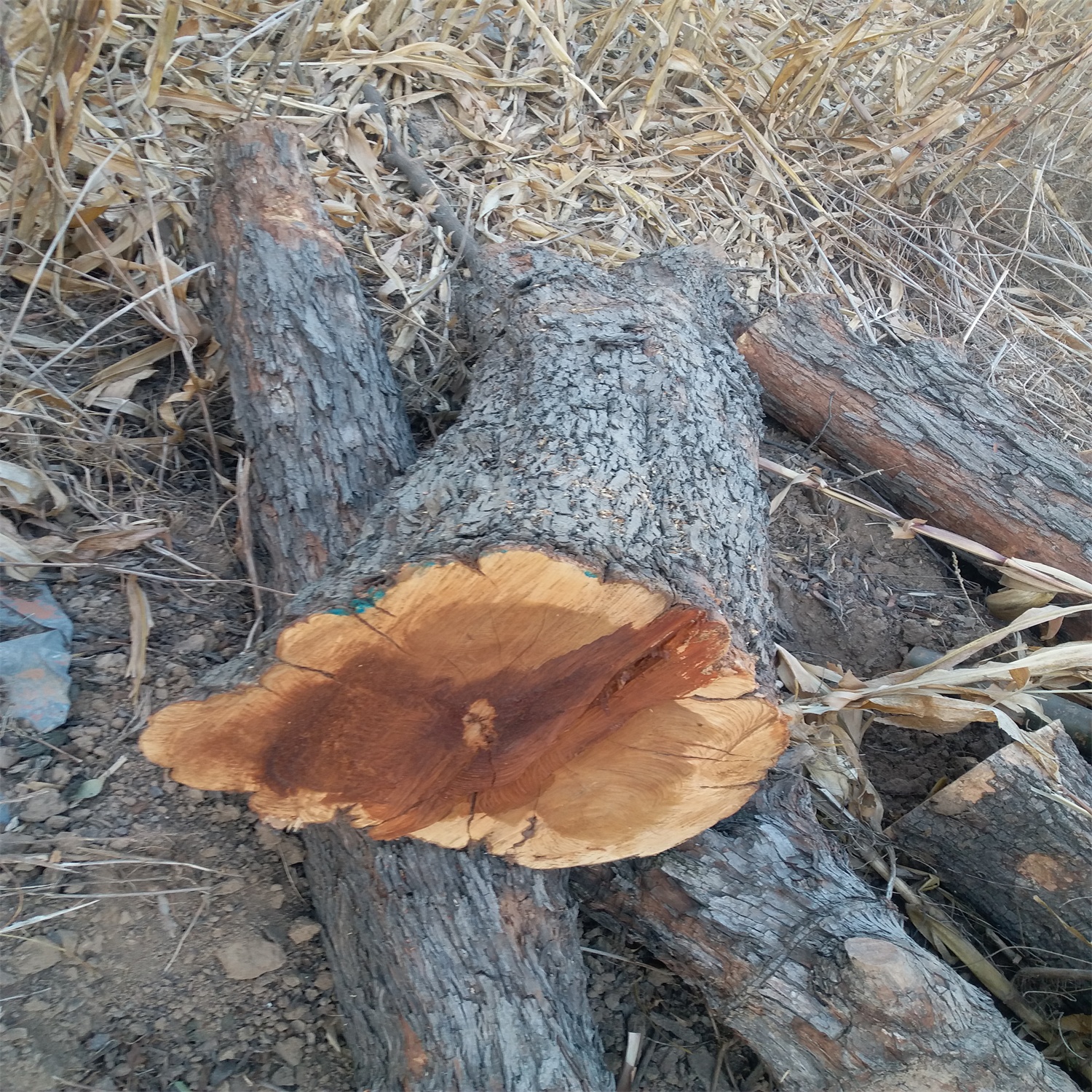 20171129_162439.jpg