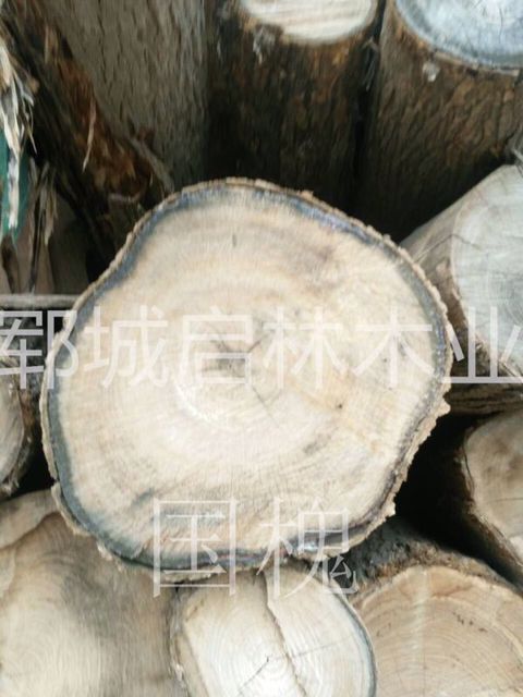 QQ图片23