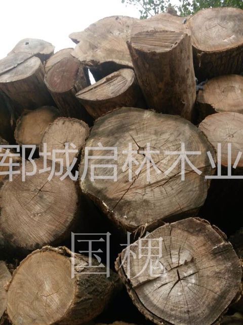QQ图片23