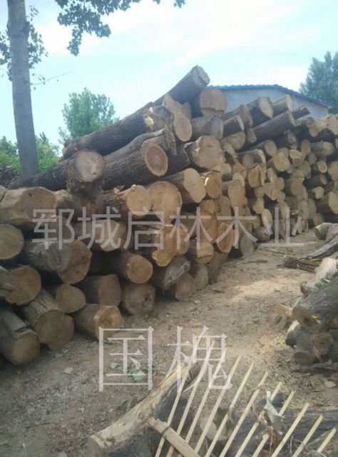 QQ图片28