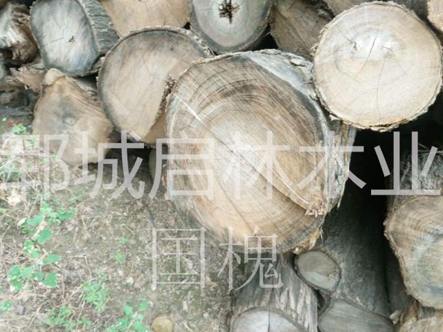 QQ图片28