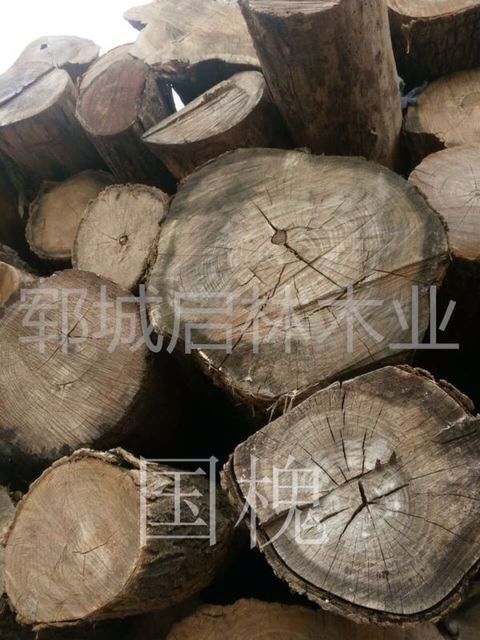 QQ图片27