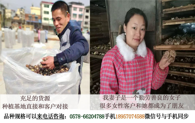 香菇干品 薄菇 庆元香信菇 极薄的香菇 仿原木香菇示例图4