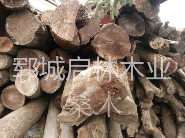 QQ图片25
