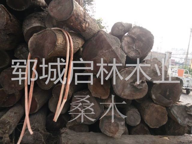 QQ图片24