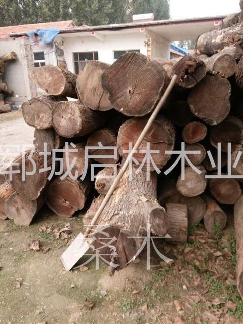 QQ图片21