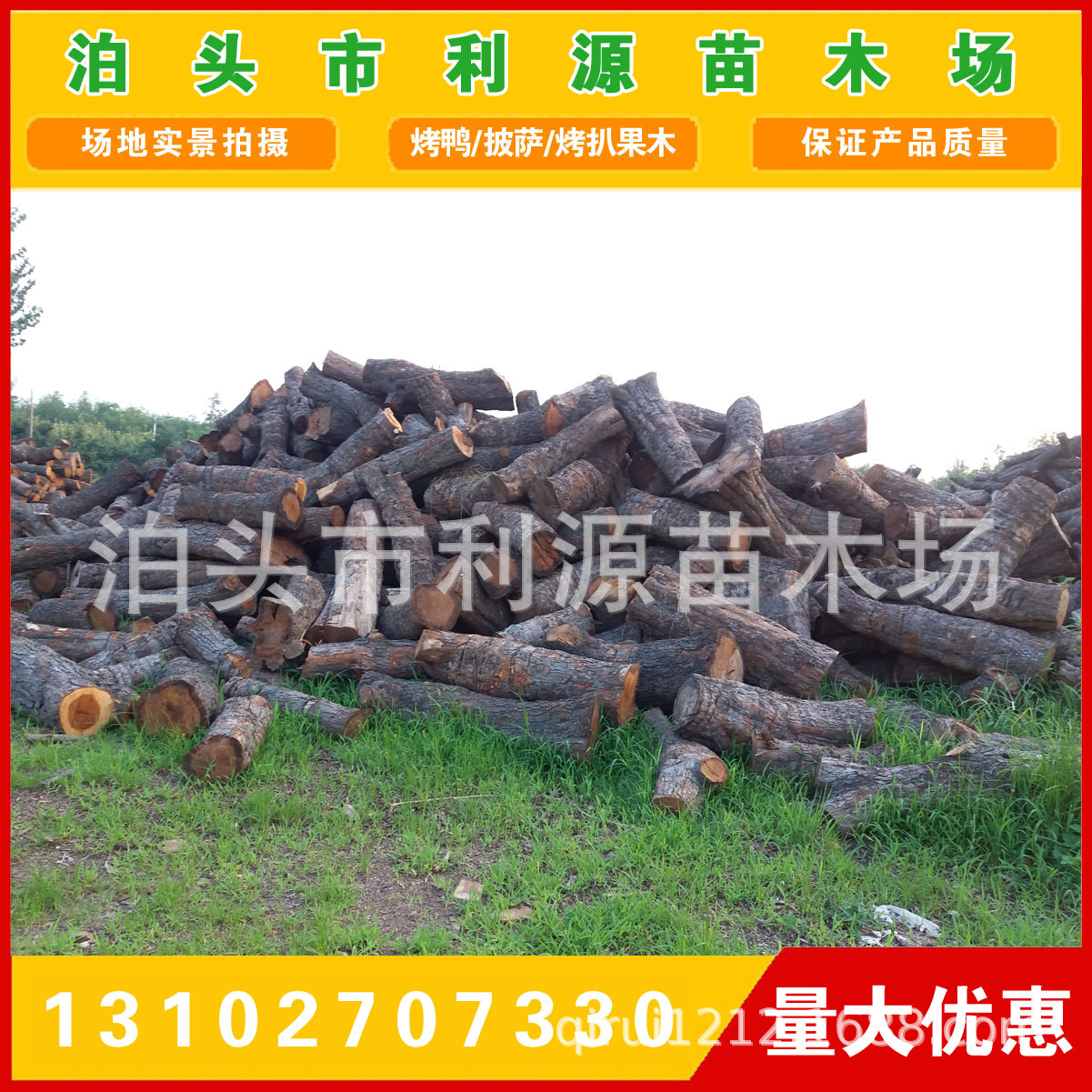 供应枣木原木小头直径25-50公分10000吨 货源充足 全国发货无空心示例图2